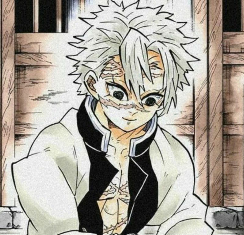 Sanemi Shinaguzawa thumbnail
