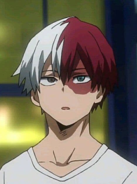 Shoto Todoroki thumbnail