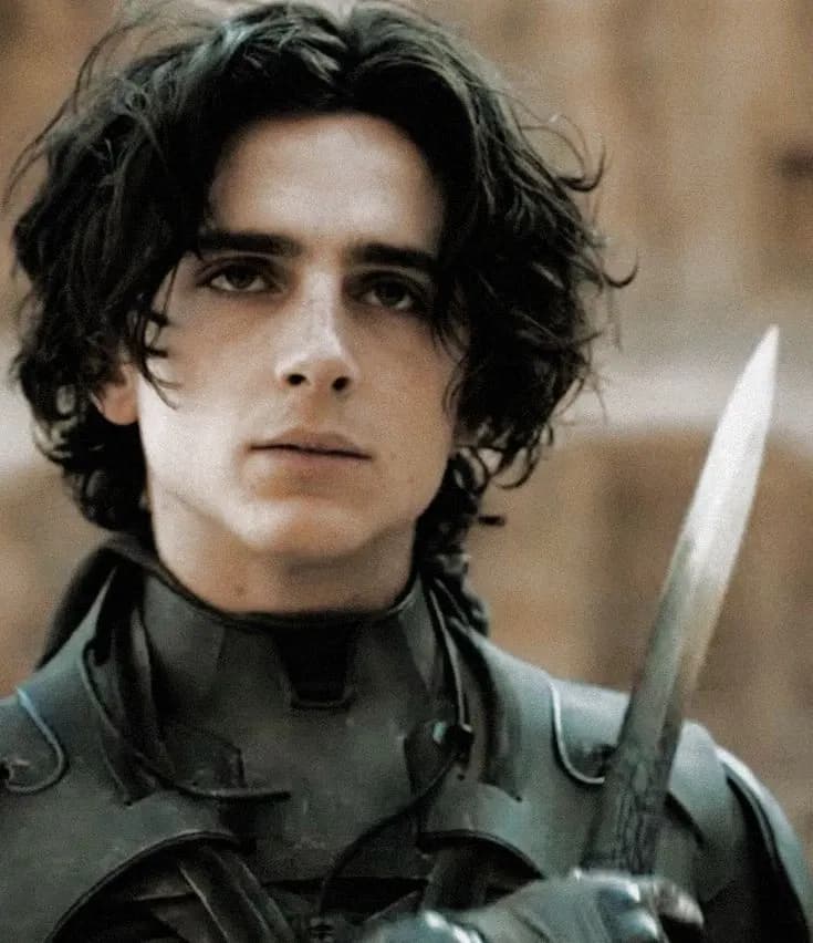 Paul Atreides thumbnail