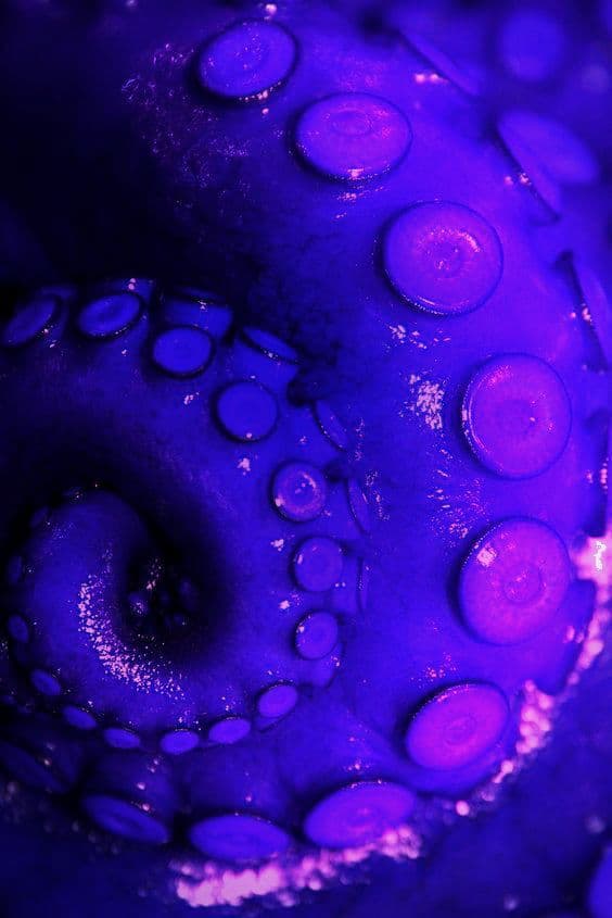 Tentacles thumbnail