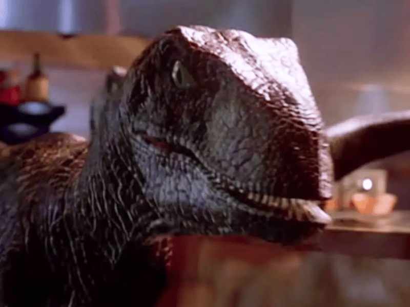 Velociraptor thumbnail