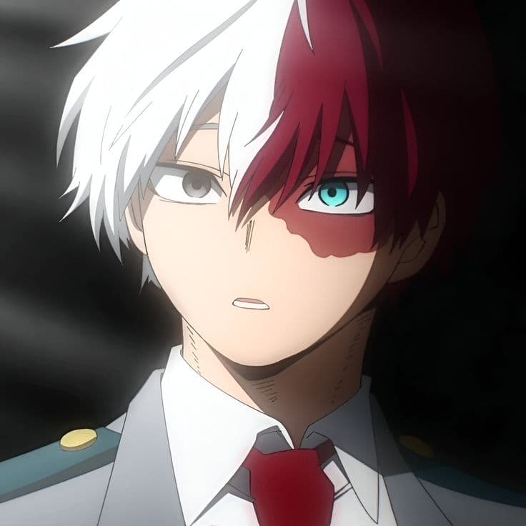 Shoto Todoroki thumbnail