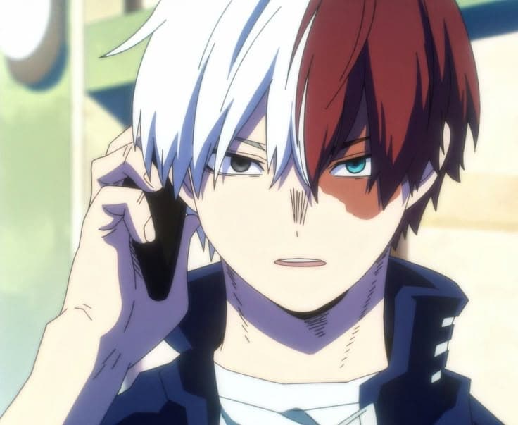Shoto Todoroki thumbnail