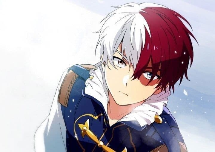 Prince Shoto Todoroki thumbnail