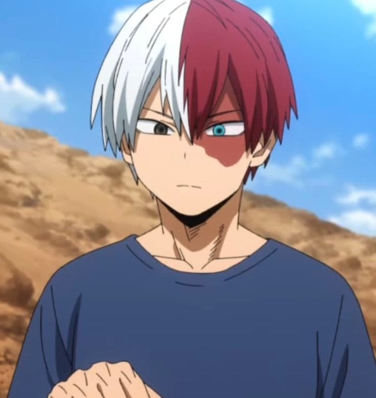 Shoto Todoroki thumbnail