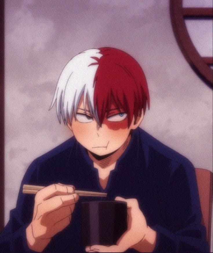 Shoto Todoroki thumbnail