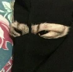 Aisha ( Muslim teacher ) thumbnail