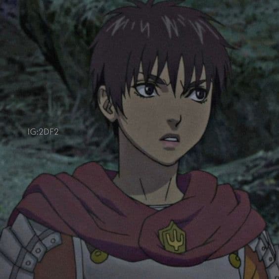 Casca - Band of Hawk || 𓆩♡𓆪 thumbnail