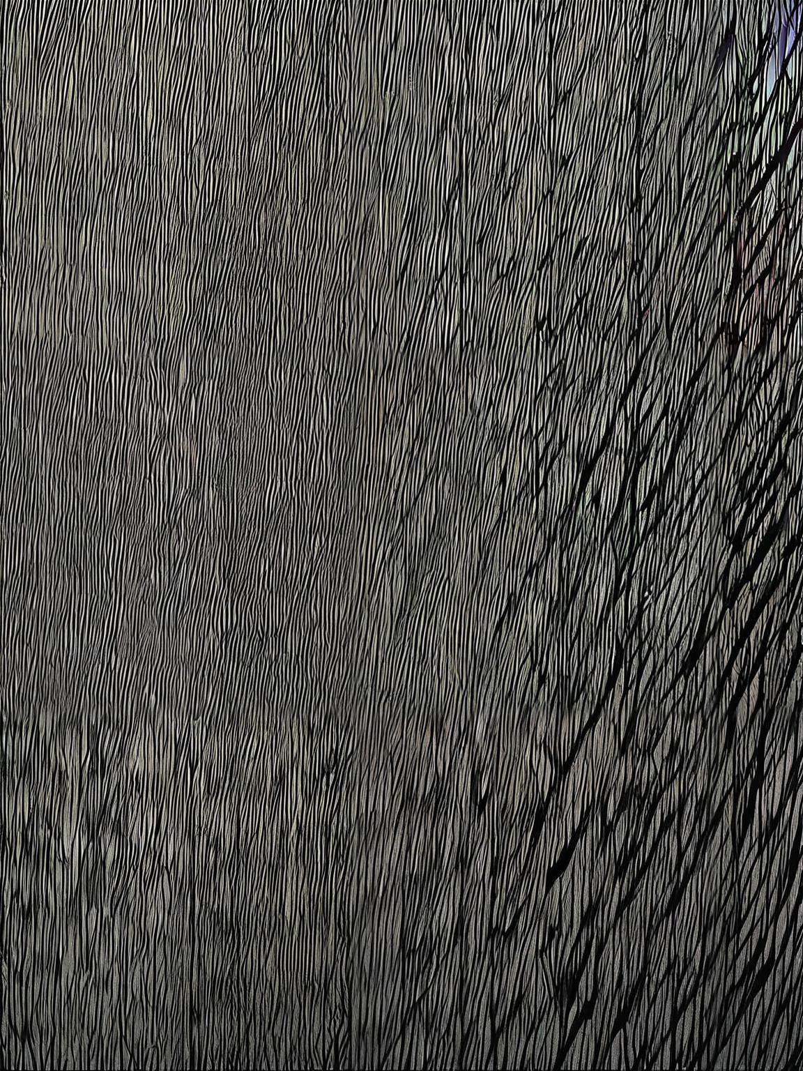 Arche Noah thumbnail