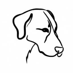 DOG thumbnail