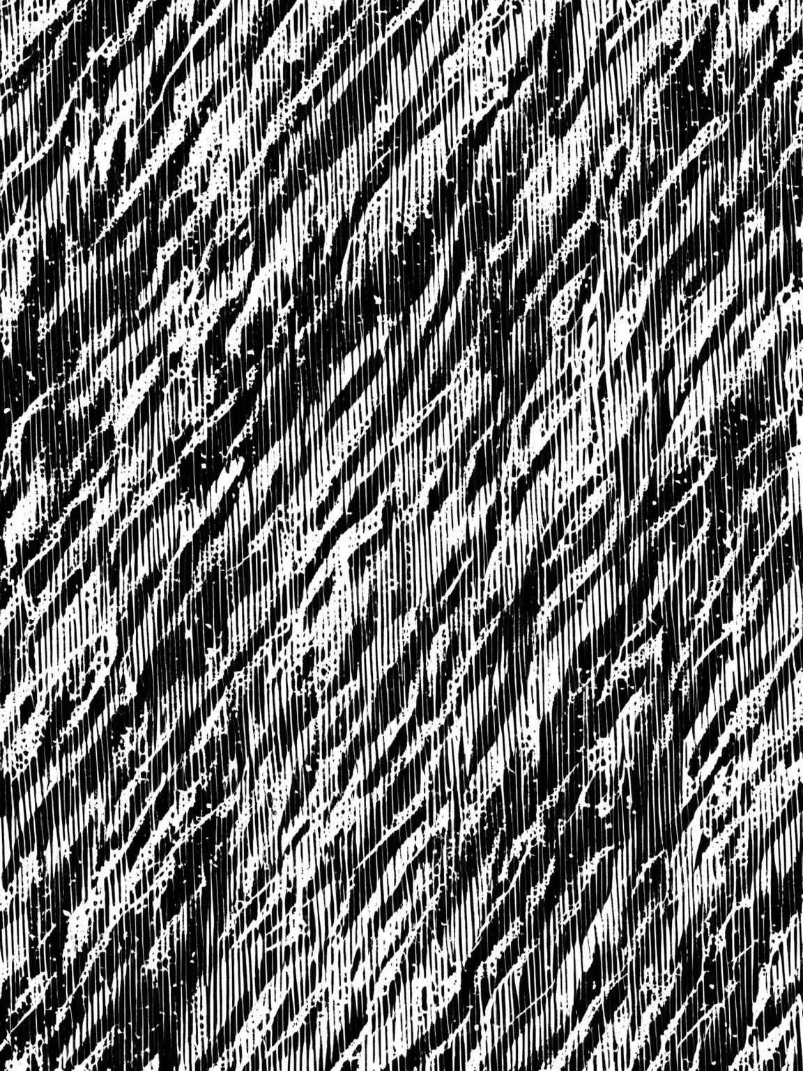 Aella 'Shadowclaw' Nightwhisper thumbnail