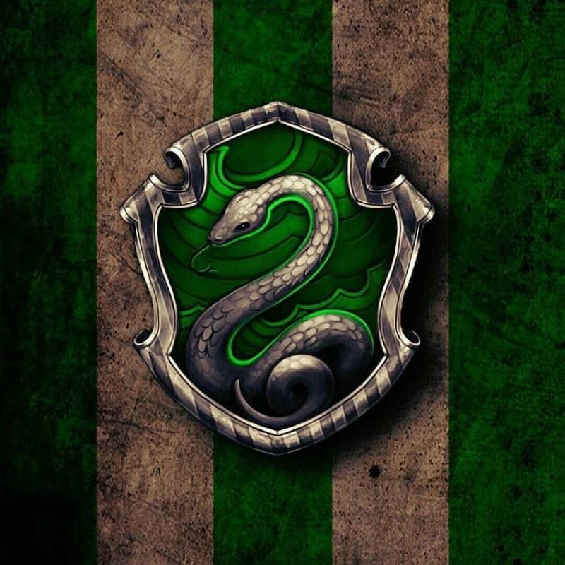 Hogwarts Slytherin Journey thumbnail