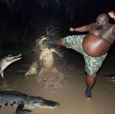 Wildlife mission thumbnail