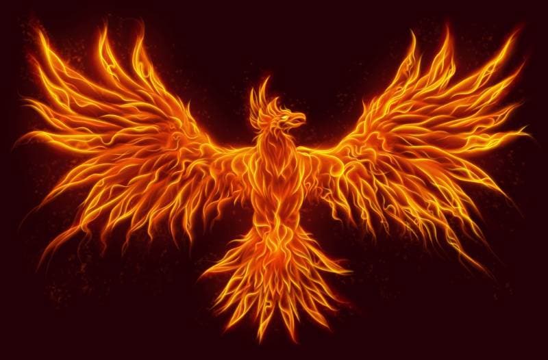 A Real Phoenix thumbnail
