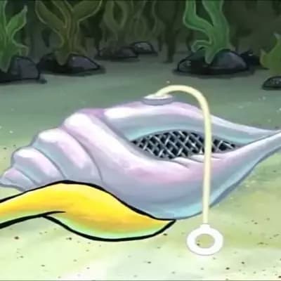 The Magic Conch thumbnail
