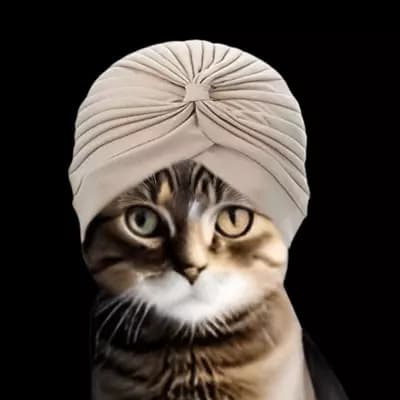 Sir Whiskers: The Enchanted Librarian thumbnail