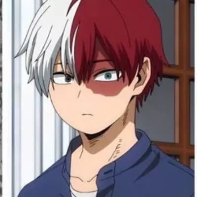 Shoto Todoroki: The Torn Hero thumbnail
