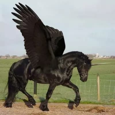 ~Flying Horse: The Magical Horse~ thumbnail