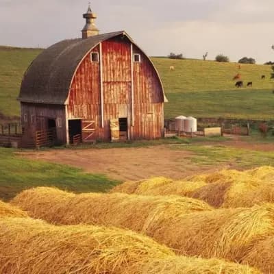 A farm thumbnail