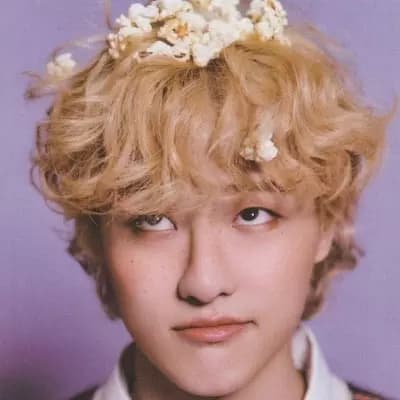 Bang Chan thumbnail