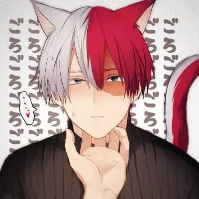 Shoto Todoroki thumbnail