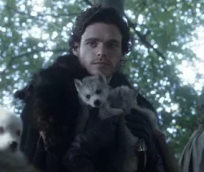 Robb Stark thumbnail