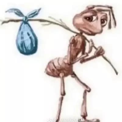 Ant Comfort thumbnail