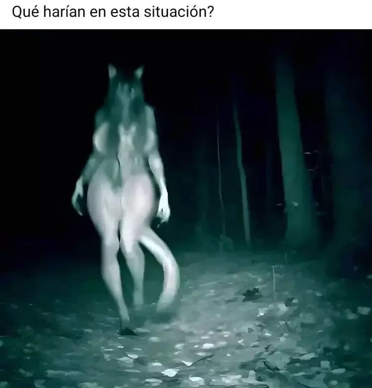 Yoru thumbnail