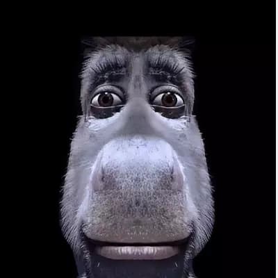 Donkey thumbnail