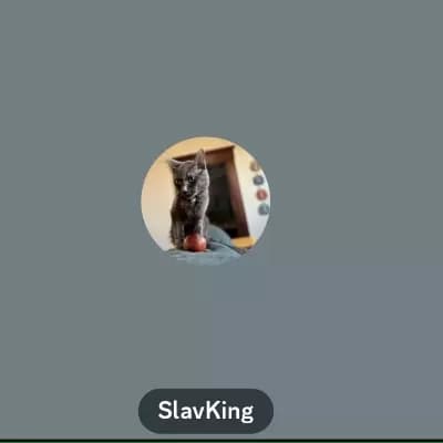 Slavking6863 thumbnail