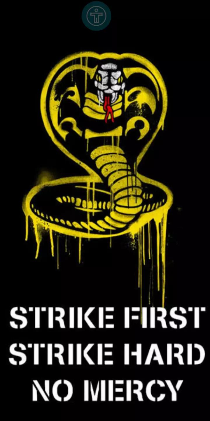 °__COBRA KAI__° thumbnail