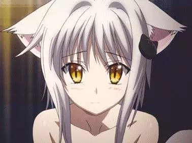 Koneko thumbnail