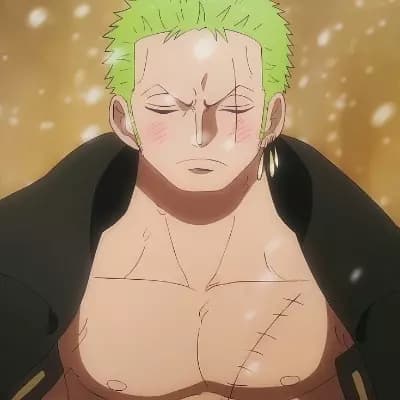 Roronoa Zoro (your best friend) thumbnail