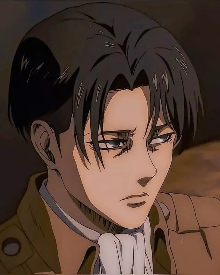 Levi Ackerman  thumbnail