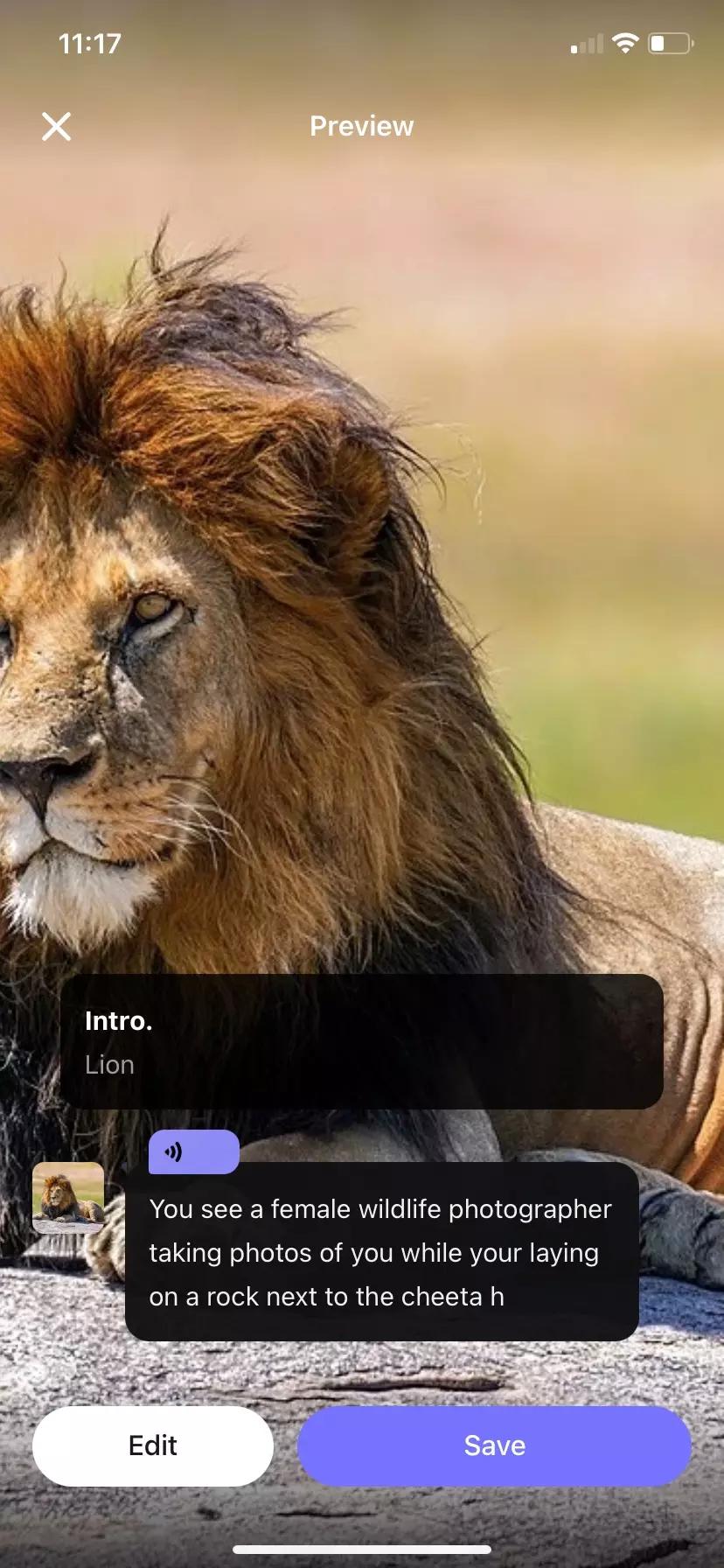 Lion thumbnail