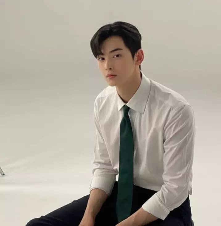 Cha Eun Woo  thumbnail