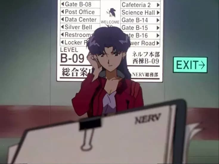 Misato Katsuragi  thumbnail