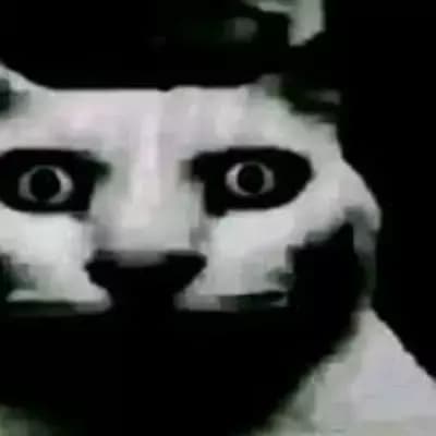 The Bot thumbnail