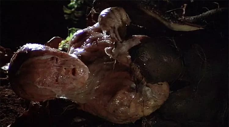 Body Snatcher Invasion thumbnail