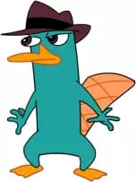 Perry the platypus  thumbnail