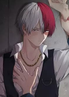 Shoto Todoroki thumbnail