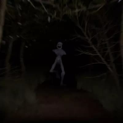 Bob, the Brutal Obscene Beast thumbnail