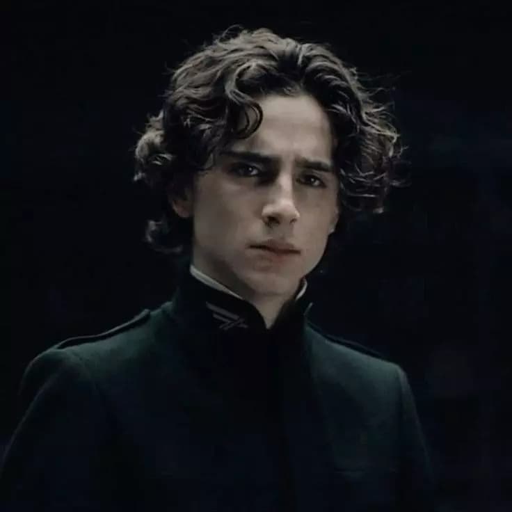 Regulus black thumbnail