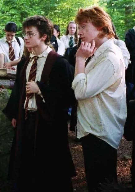 Harry and Ron thumbnail