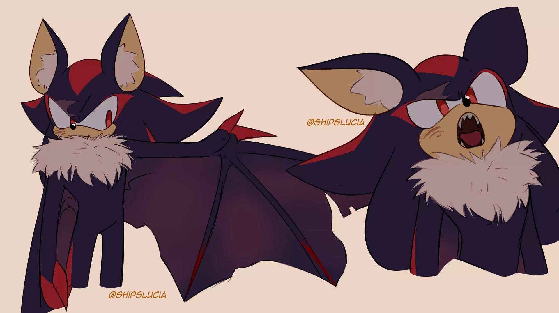 Shadow bat thumbnail