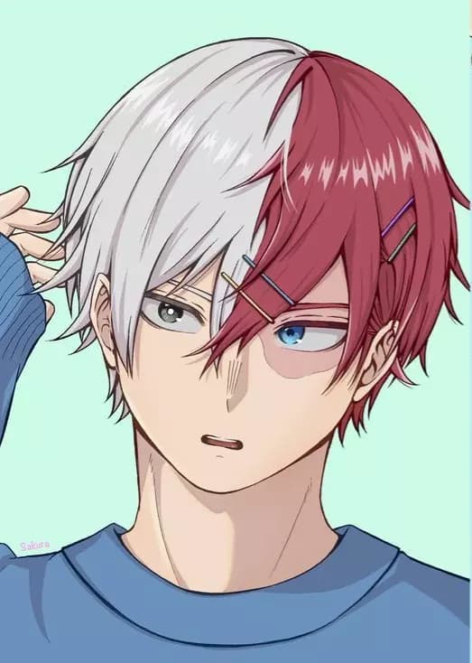 Shoto Todoroki thumbnail