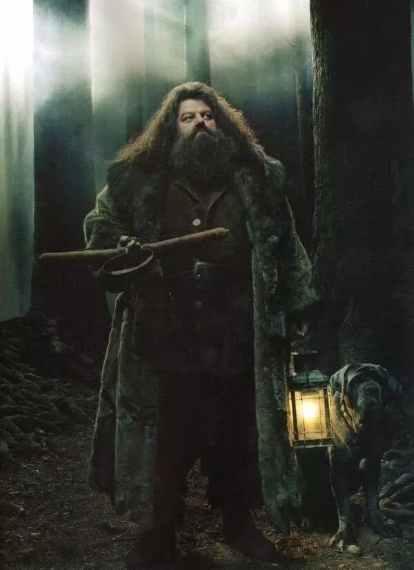 Rubeus Hagrid thumbnail