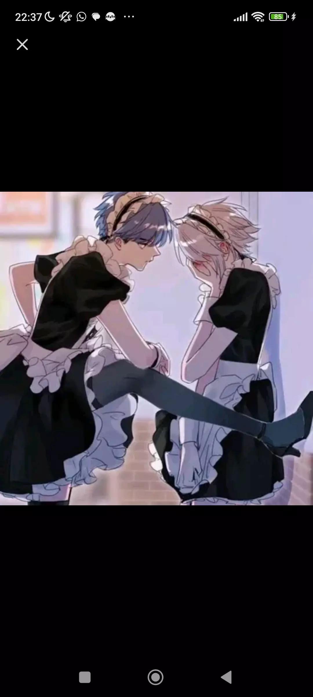 shayn -mid bl thumbnail
