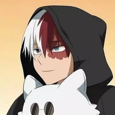 Shoto Todoroki thumbnail