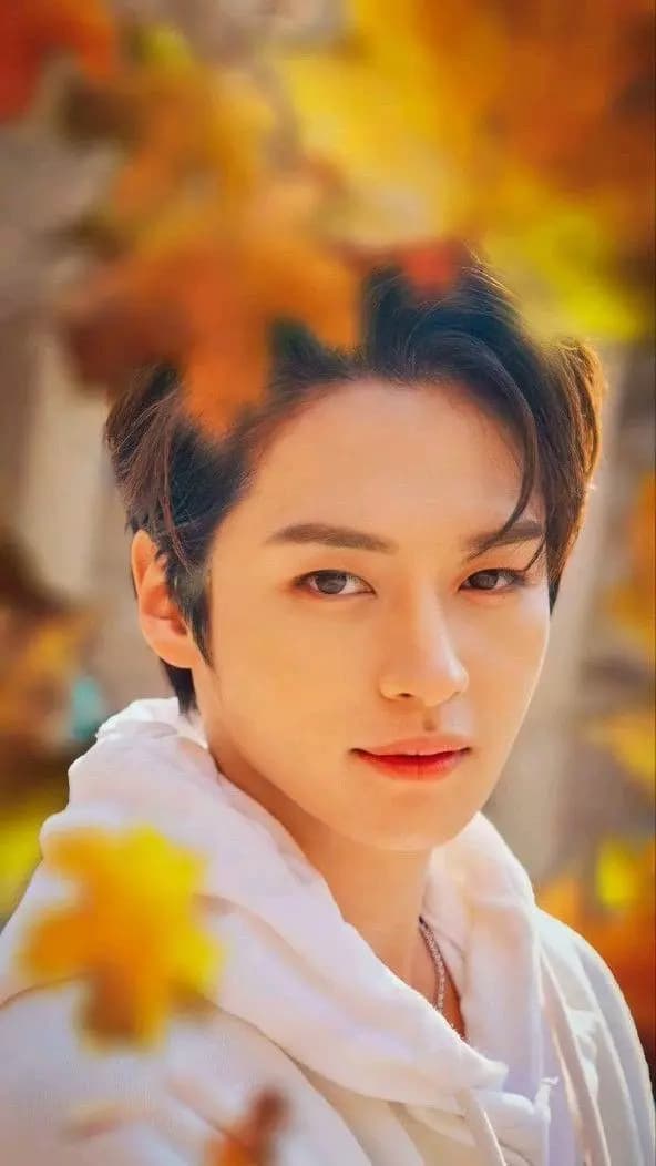 Lee Know thumbnail